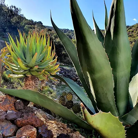 Casa Country בית נופש קאפוליברי